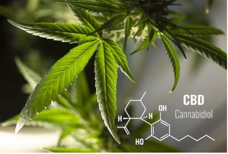 Hoja de cannabis junto a la fórmula química del cannabidiol (CBD)