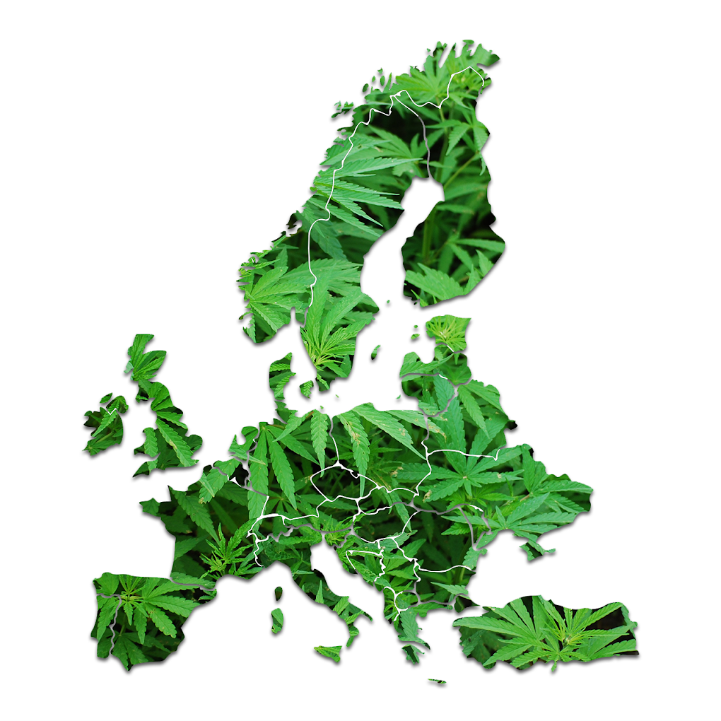 Mapa de Europa formado por hojas de cannabis