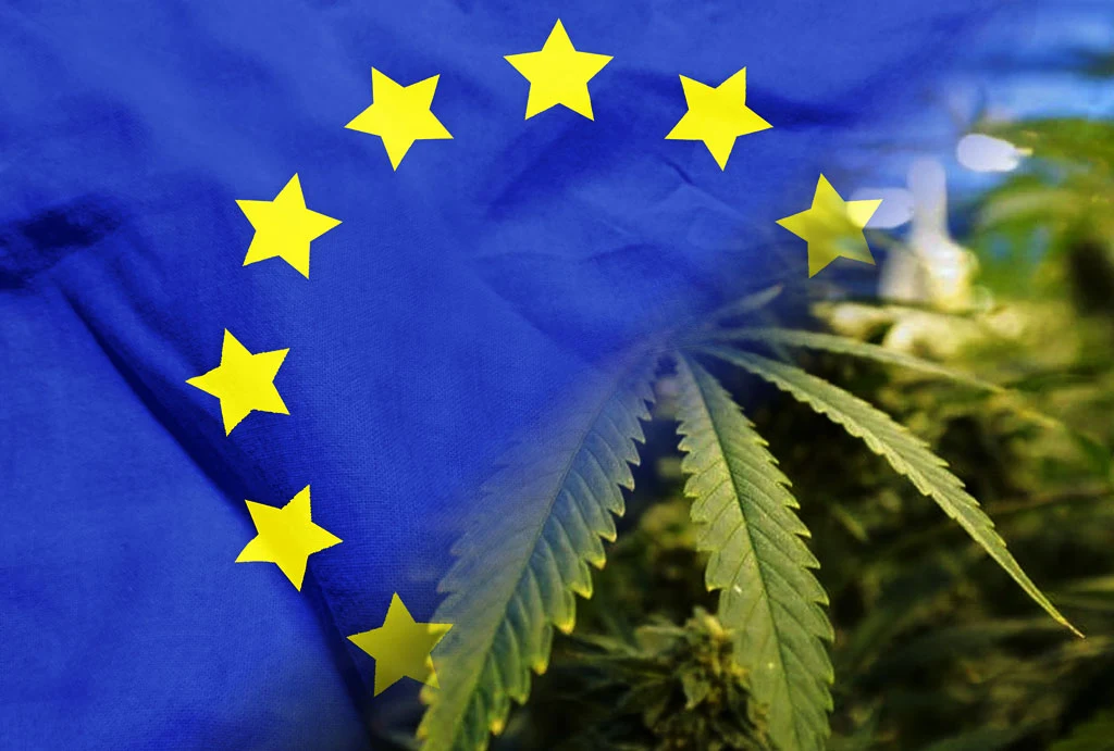 Bandera de la Unión Europea sobre cultivo de cannabis